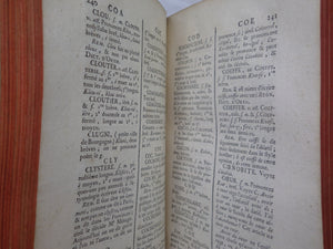 DICTIONNAIRE GRAMMATICAL DE LA LANGUE FRANCOISE 1768 LEATHER BOUND IN TWO VOLS