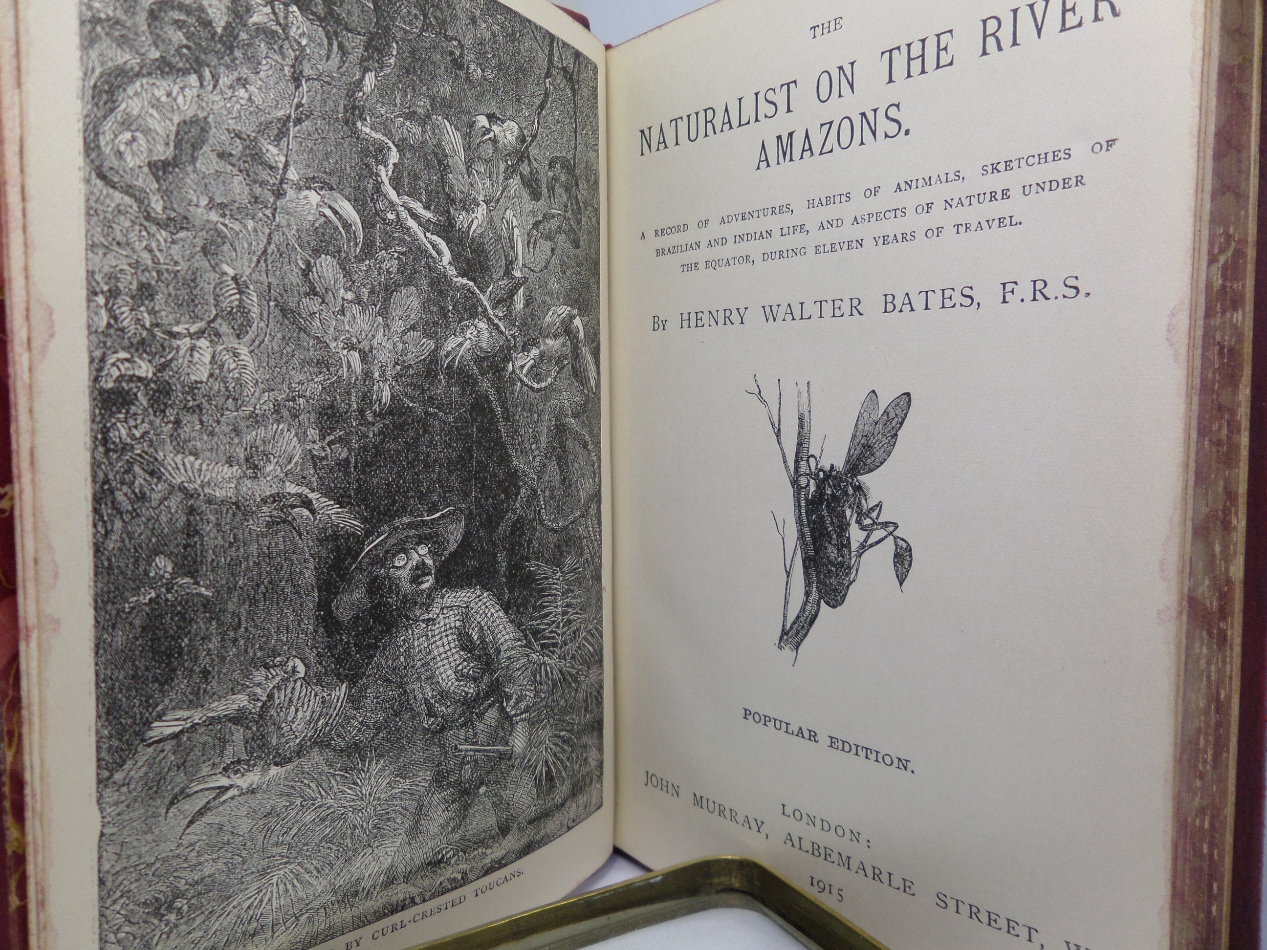 NATURALIST ON THE RIVER AMAZONS BY HENRY WALTER BATES 1915 FINE LEATHER BINDING