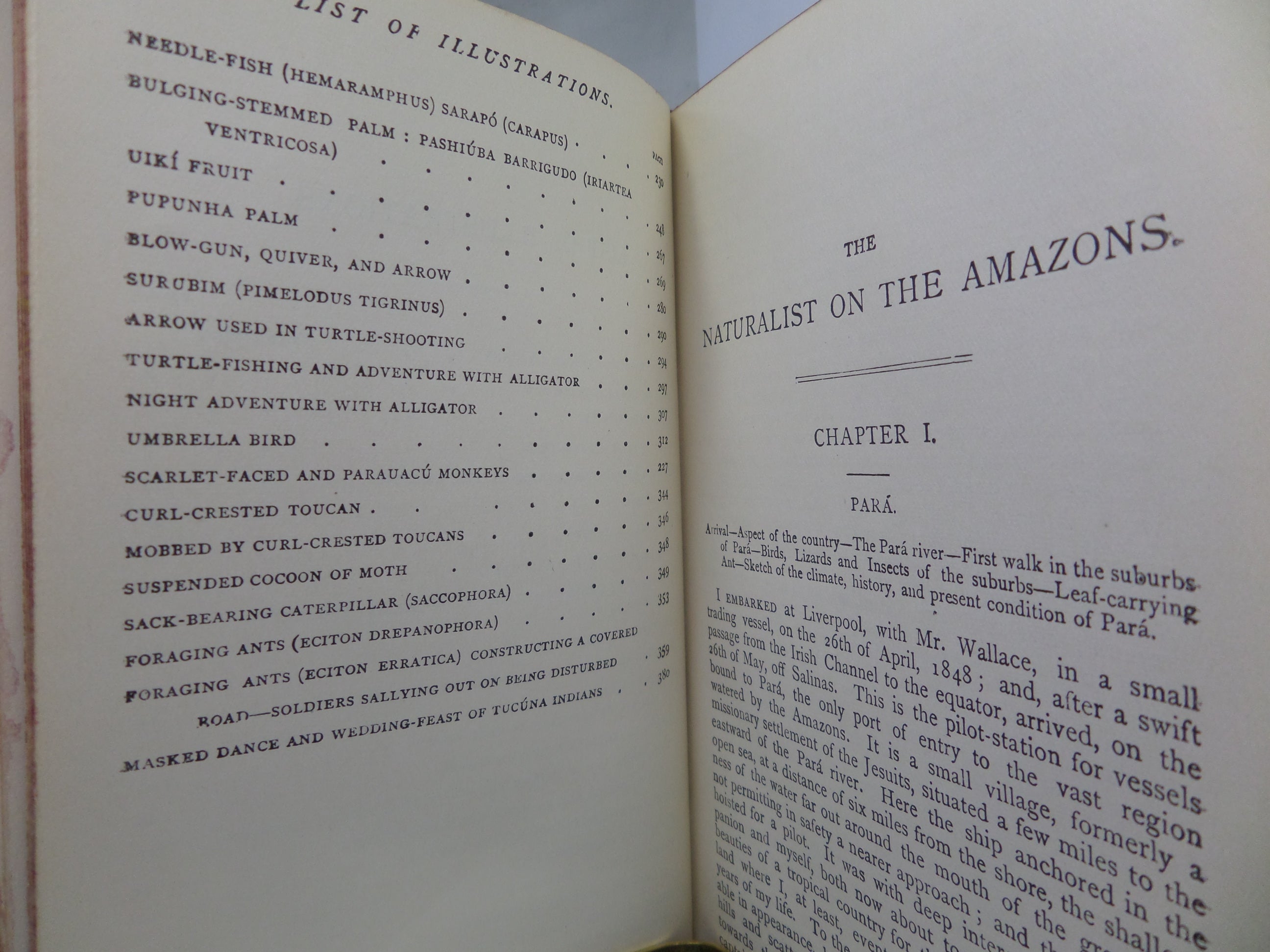 NATURALIST ON THE RIVER AMAZONS BY HENRY WALTER BATES 1915 FINE LEATHER BINDING