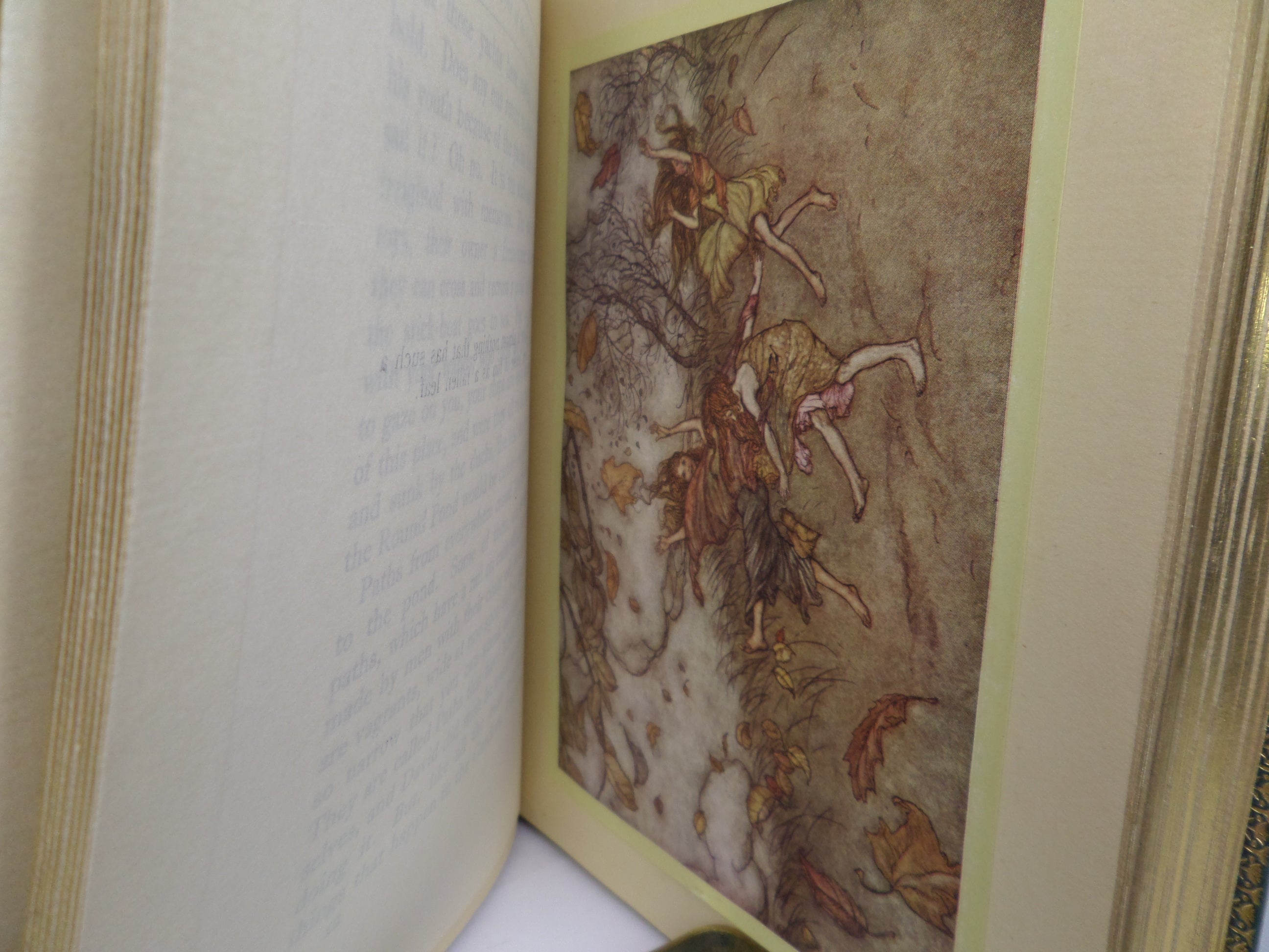 PETER PAN IN KENSINGTON GARDENS BY J. M. BARRIE, ARTHUR RACKHAM ILLUSTRATIONS FINE SANGORSKI & SUTCLIFFE BINDING