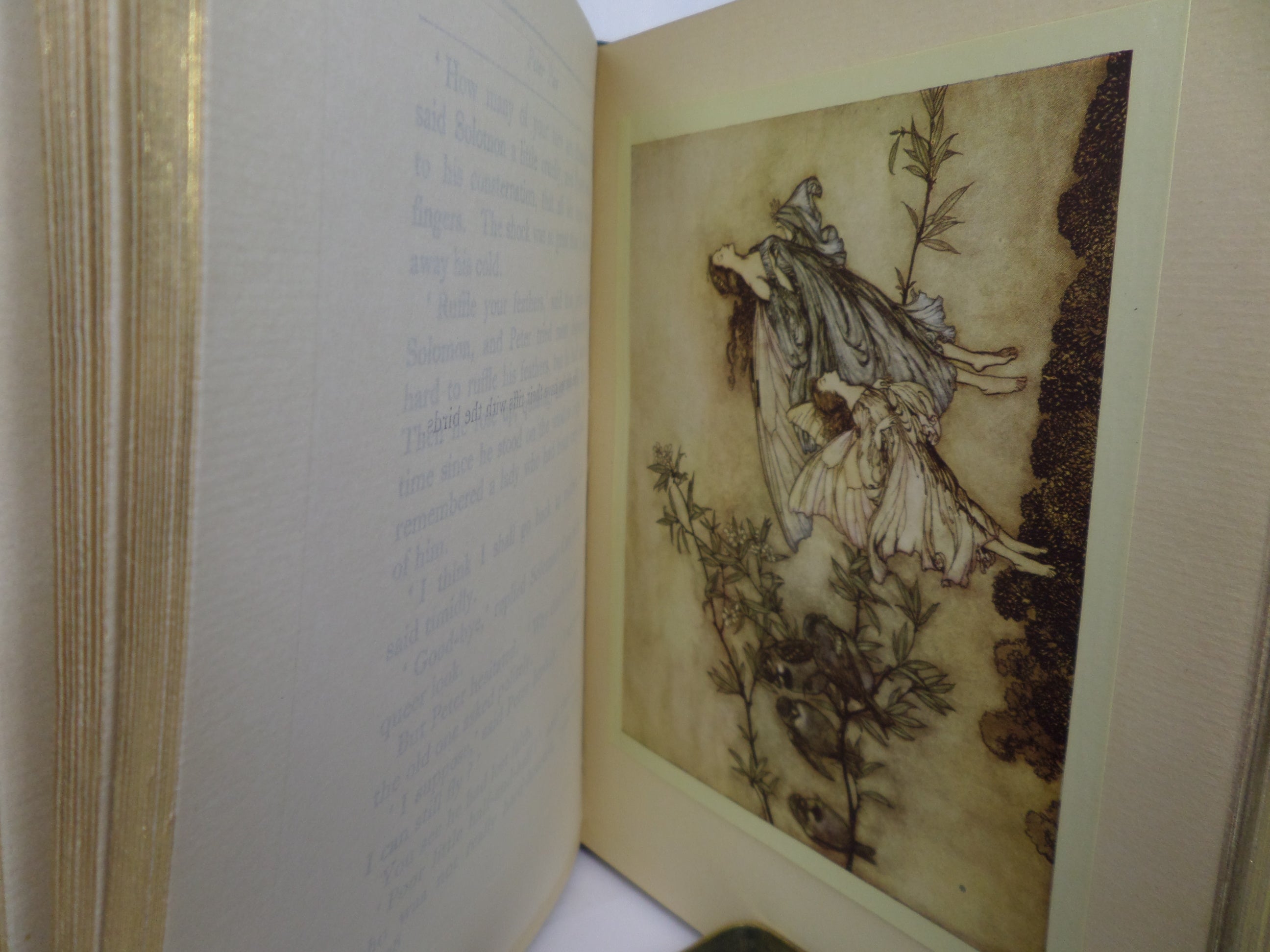 PETER PAN IN KENSINGTON GARDENS BY J. M. BARRIE, ARTHUR RACKHAM ILLUSTRATIONS FINE SANGORSKI & SUTCLIFFE BINDING