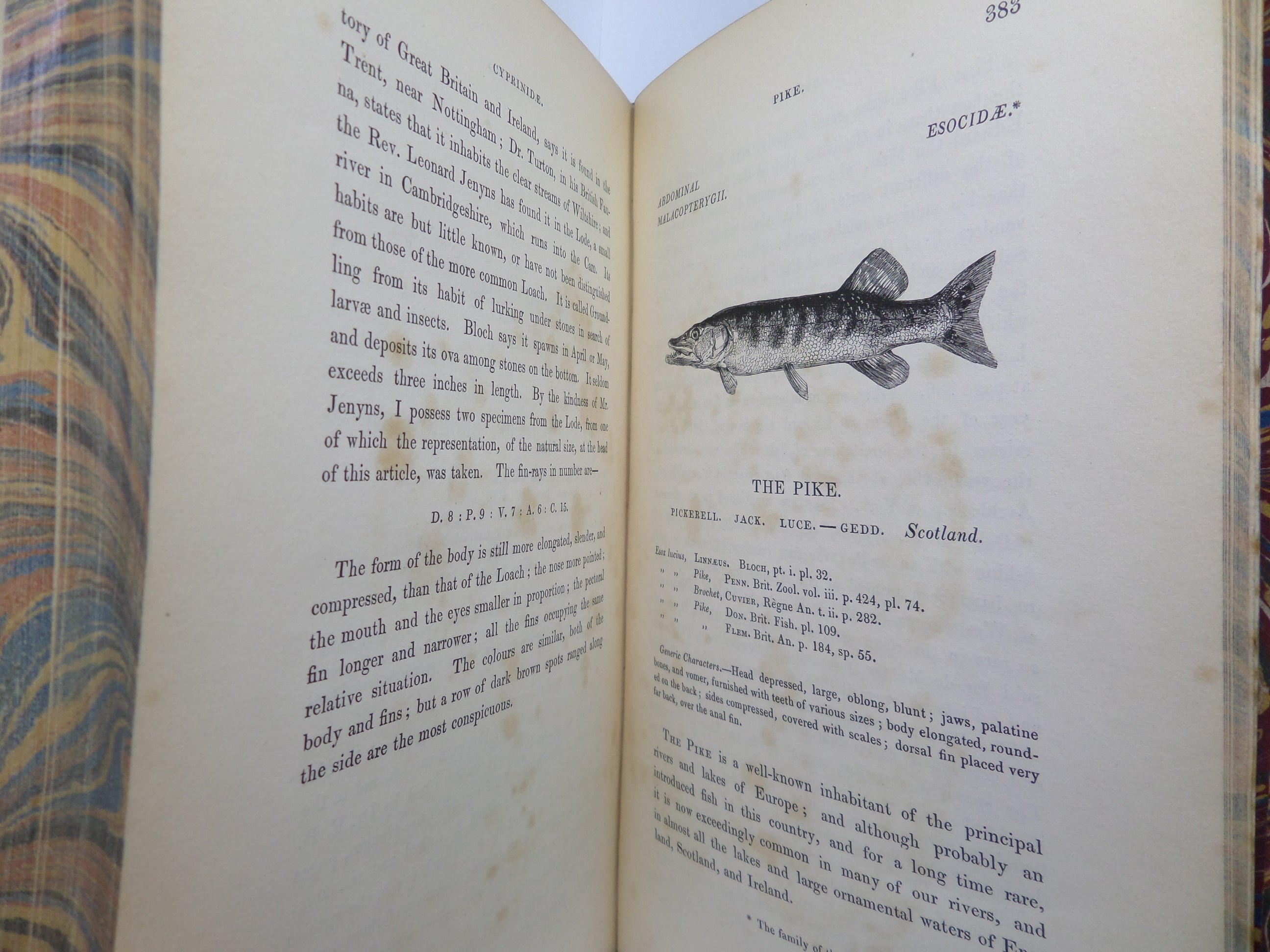 A HISTORY OF BRITISH FISHES BY WILLIAM YARRELL 1836 FIRST EDITION, LEATHER-BOUND