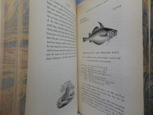 A HISTORY OF BRITISH FISHES BY WILLIAM YARRELL 1836 FIRST EDITION, LEATHER-BOUND