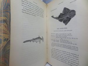 A HISTORY OF BRITISH FISHES BY WILLIAM YARRELL 1836 FIRST EDITION, LEATHER-BOUND