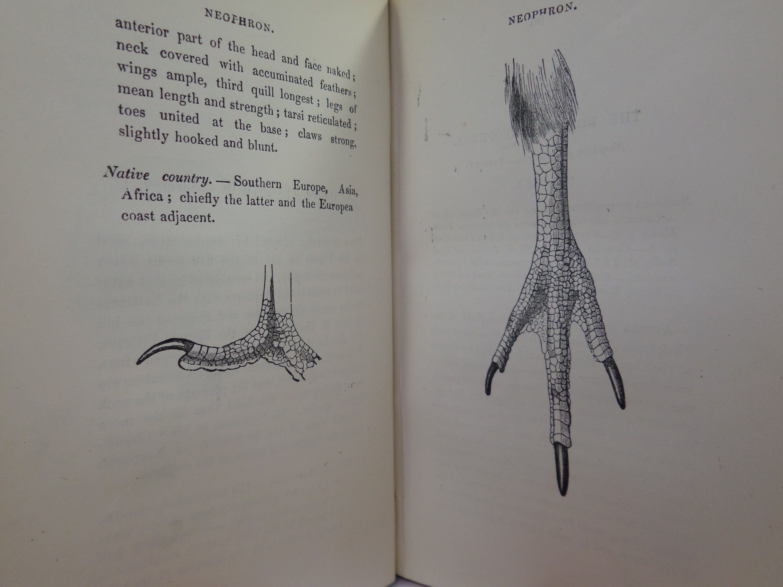 THE BIRDS OF GREAT BRITAIN AND IRELAND BY WILLIAM JARDINE C.1876 IN FOUR VOLUMES