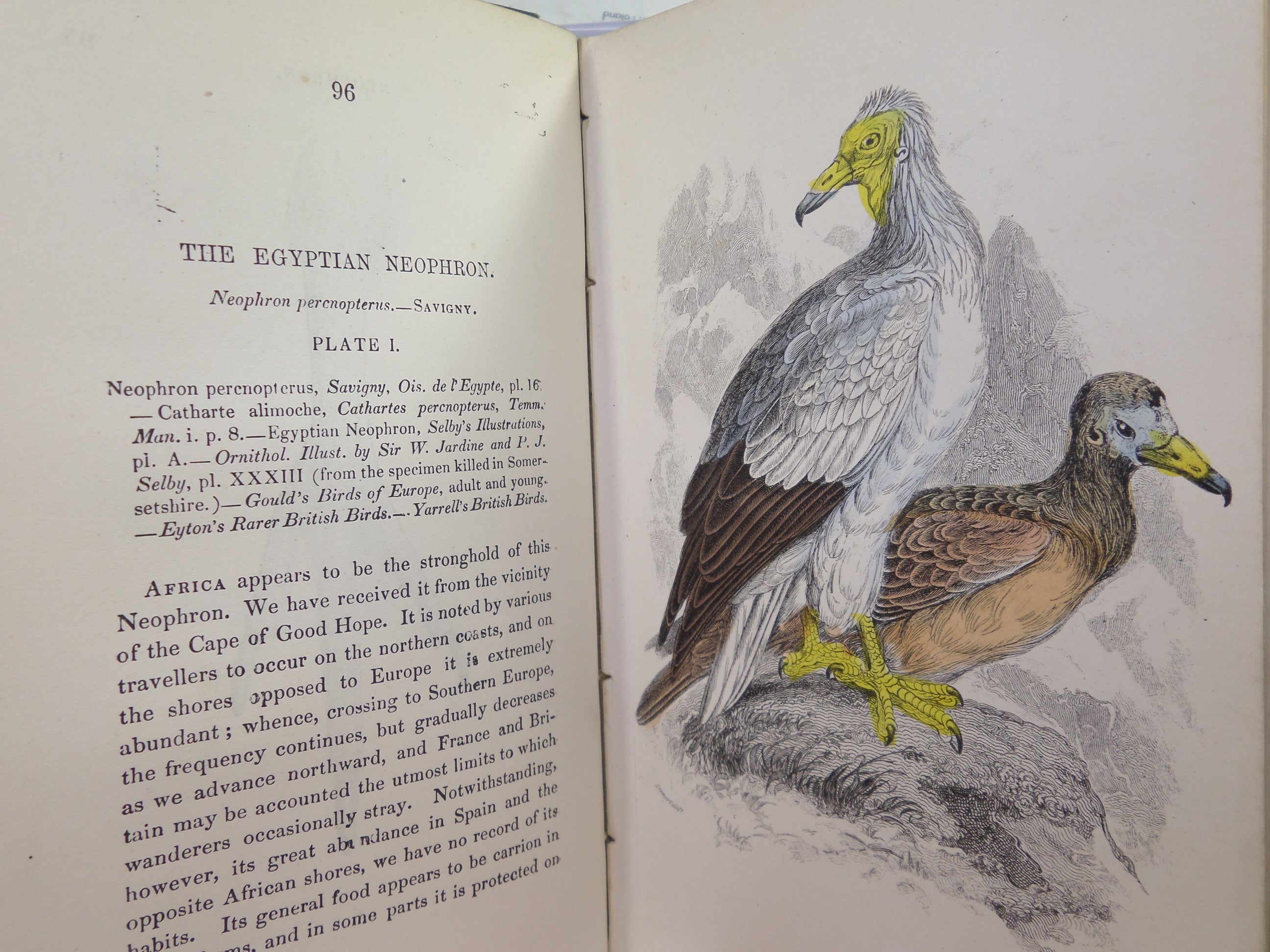 THE BIRDS OF GREAT BRITAIN AND IRELAND BY WILLIAM JARDINE C.1876 IN FOUR VOLUMES