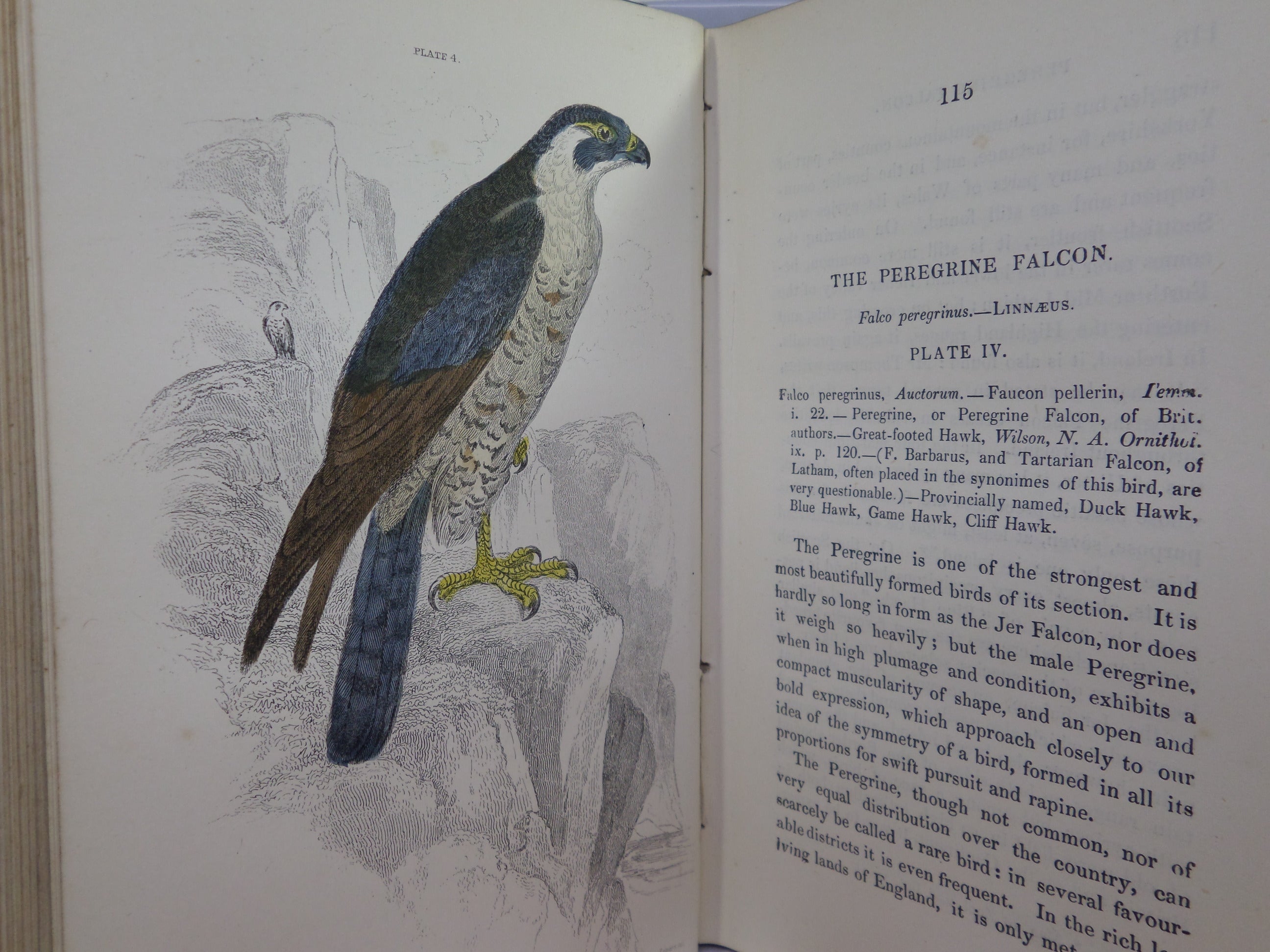 THE BIRDS OF GREAT BRITAIN AND IRELAND BY WILLIAM JARDINE C.1876 IN FOUR VOLUMES