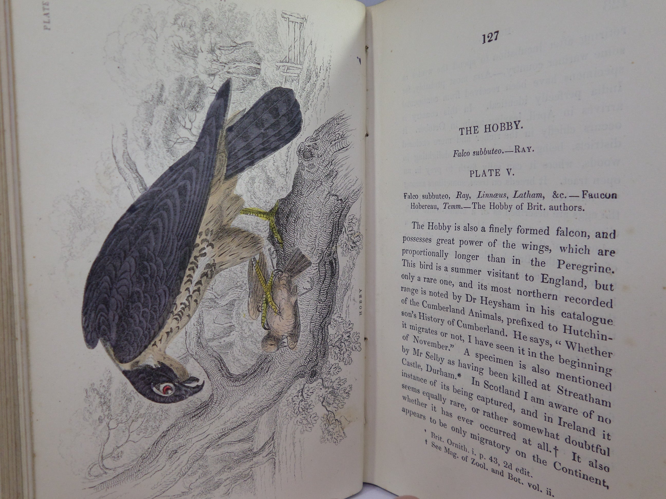 THE BIRDS OF GREAT BRITAIN AND IRELAND BY WILLIAM JARDINE C.1876 IN FOUR VOLUMES