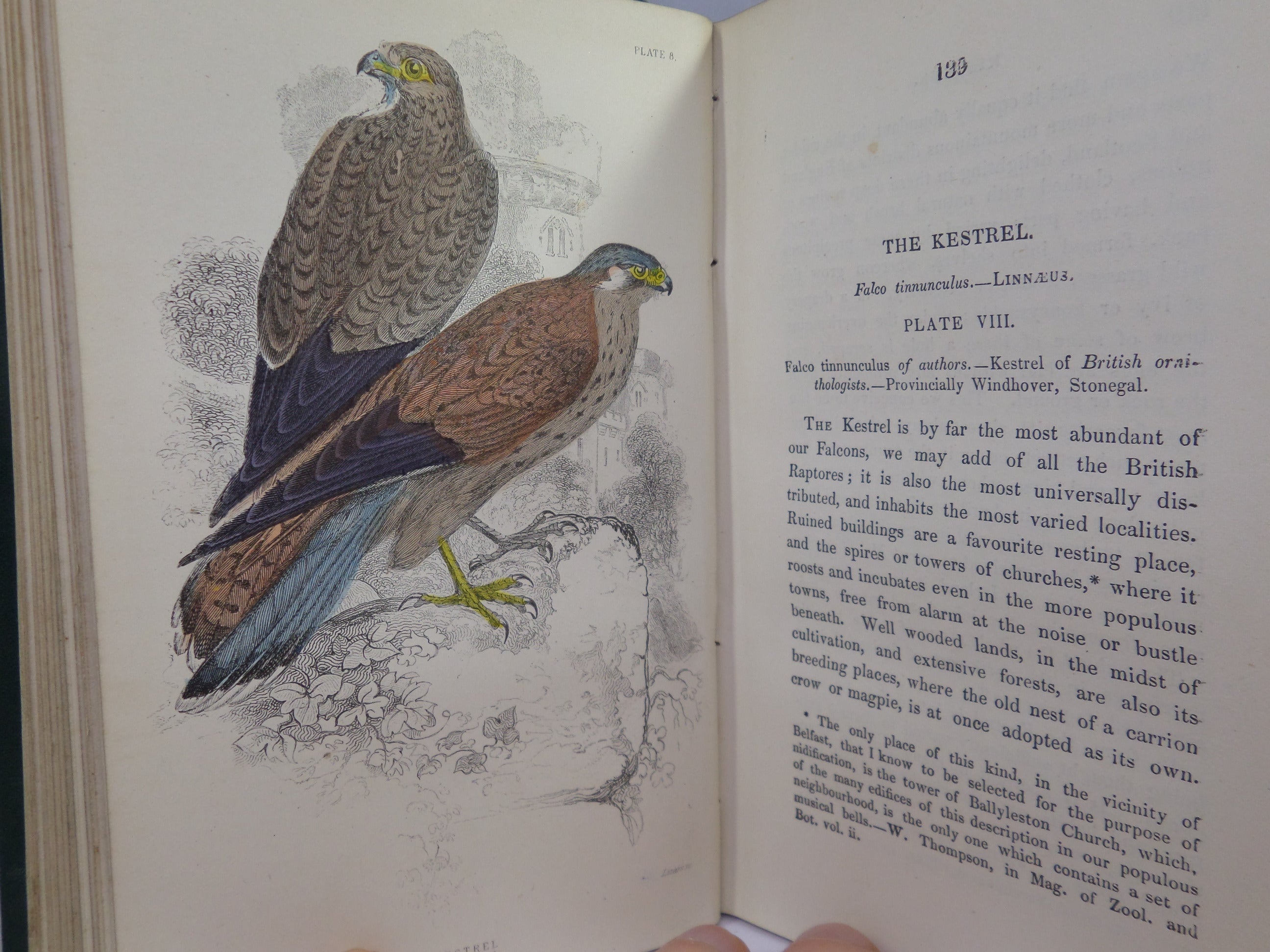 THE BIRDS OF GREAT BRITAIN AND IRELAND BY WILLIAM JARDINE C.1876 IN FOUR VOLUMES