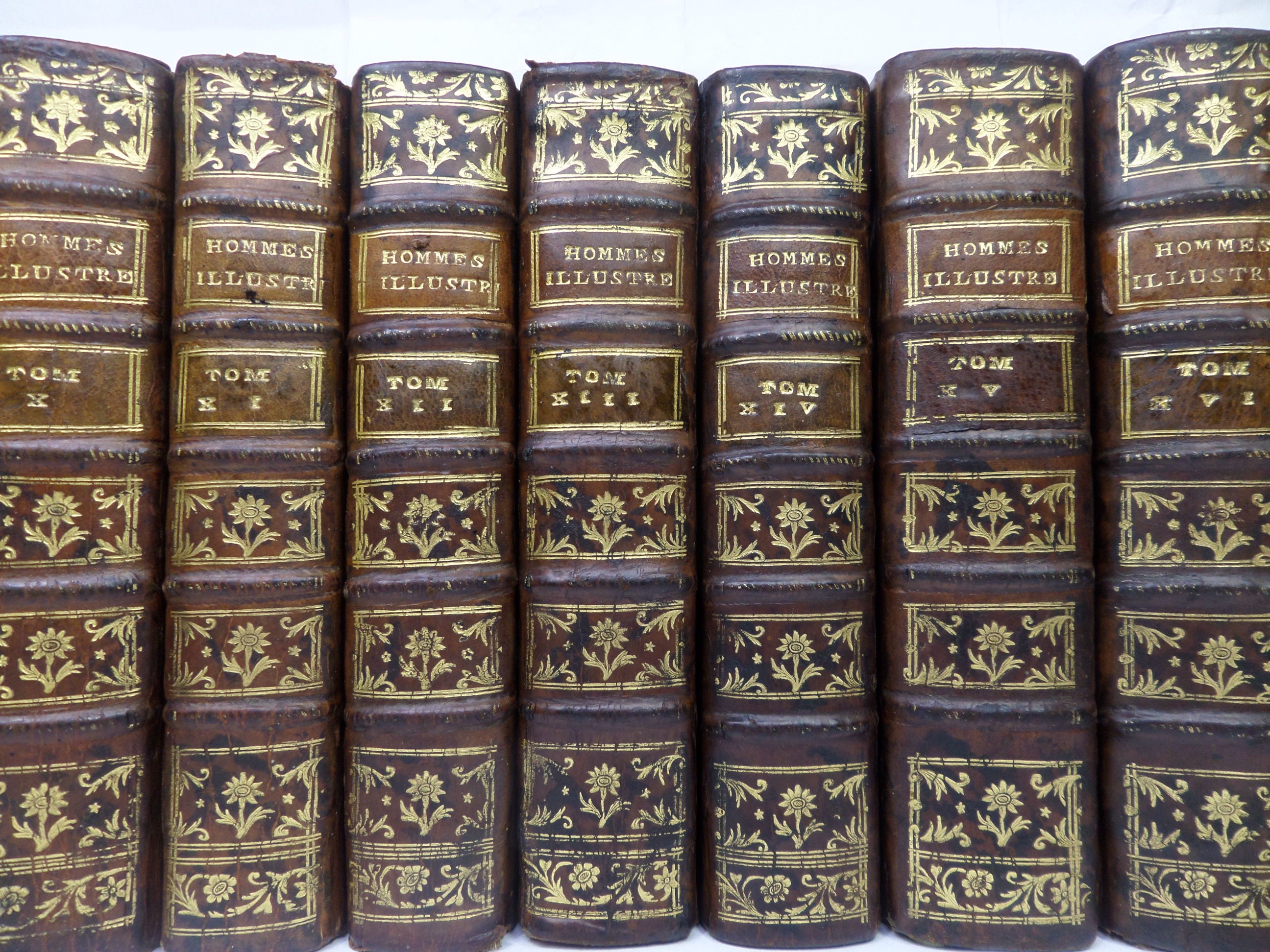 LES VIES DES HOMME ILLUSTRES DE LA FRANCE BY D'AUVIGNY, PERAU & TURPIN 1739-1775 IN 27 VOLUMES [THE ILLUSTRIOUS MEN OF FRANCE]