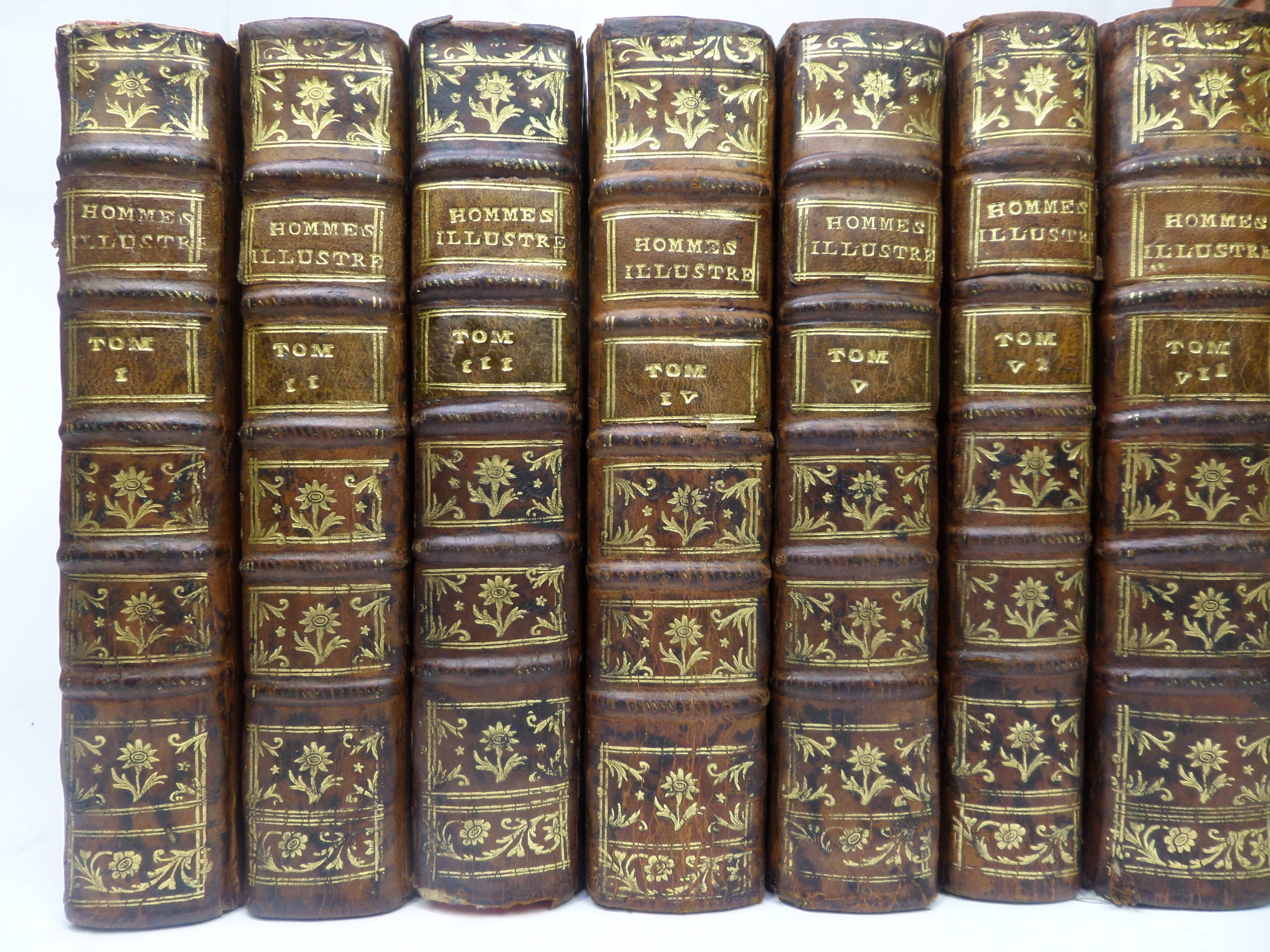 LES VIES DES HOMME ILLUSTRES DE LA FRANCE BY D'AUVIGNY, PERAU & TURPIN 1739-1775 IN 27 VOLUMES [THE ILLUSTRIOUS MEN OF FRANCE]