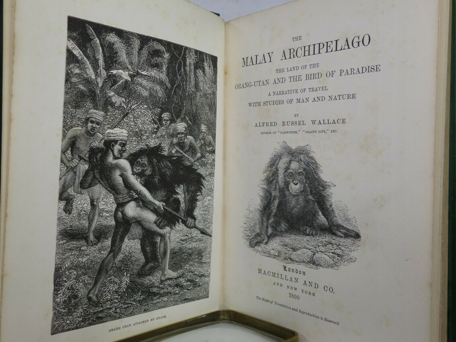 THE MALAY ARCHIPELAGO BY ALFRED RUSSEL WALLACE 1890 TENTH EDITION