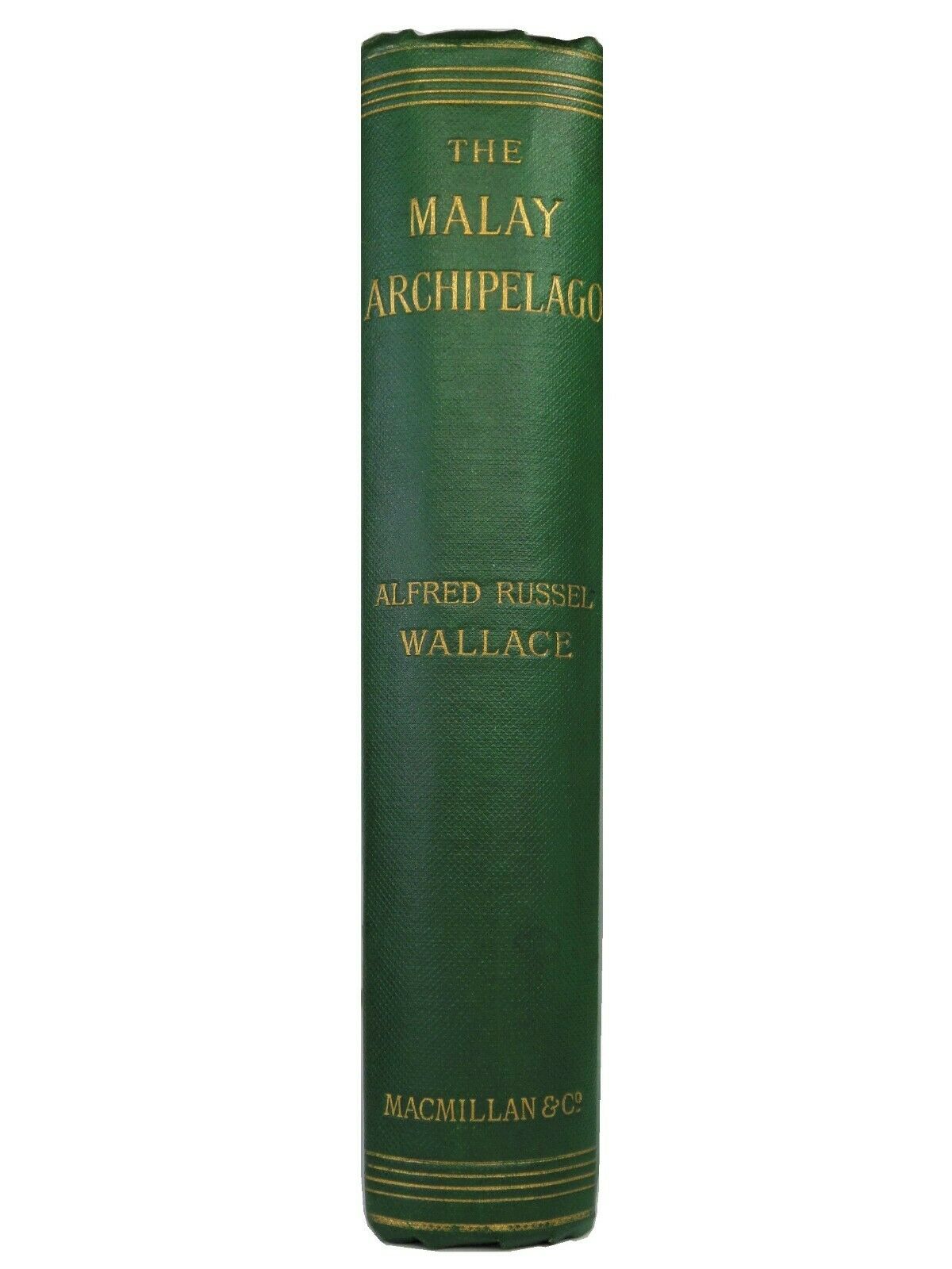 THE MALAY ARCHIPELAGO BY ALFRED RUSSEL WALLACE 1890 TENTH EDITION