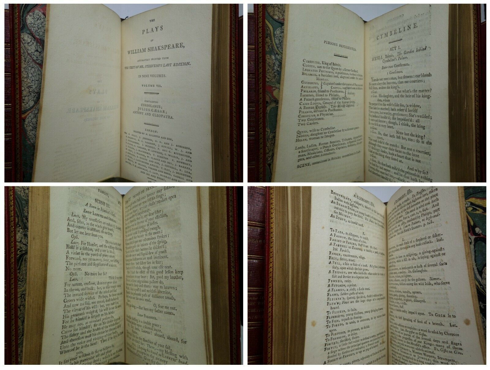 THE PLAYS OF WILLIAM SHAKESPEARE IN 9 VOLUMES 1798 FINE GEORGIAN MOROCCO BINDING