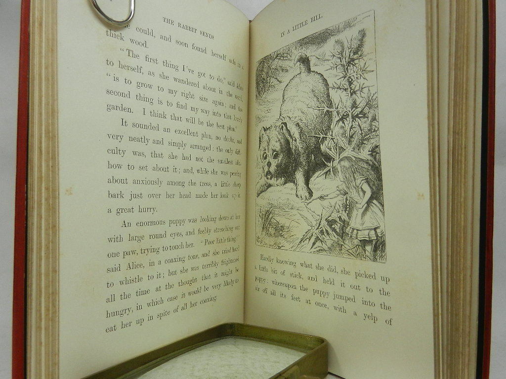 ALICE'S ADVENTURES IN WONDERLAND & THROUGH THE LOOKING-GLASS 1897 UNIFORM EDITIONS BY LEWIS CARROLL