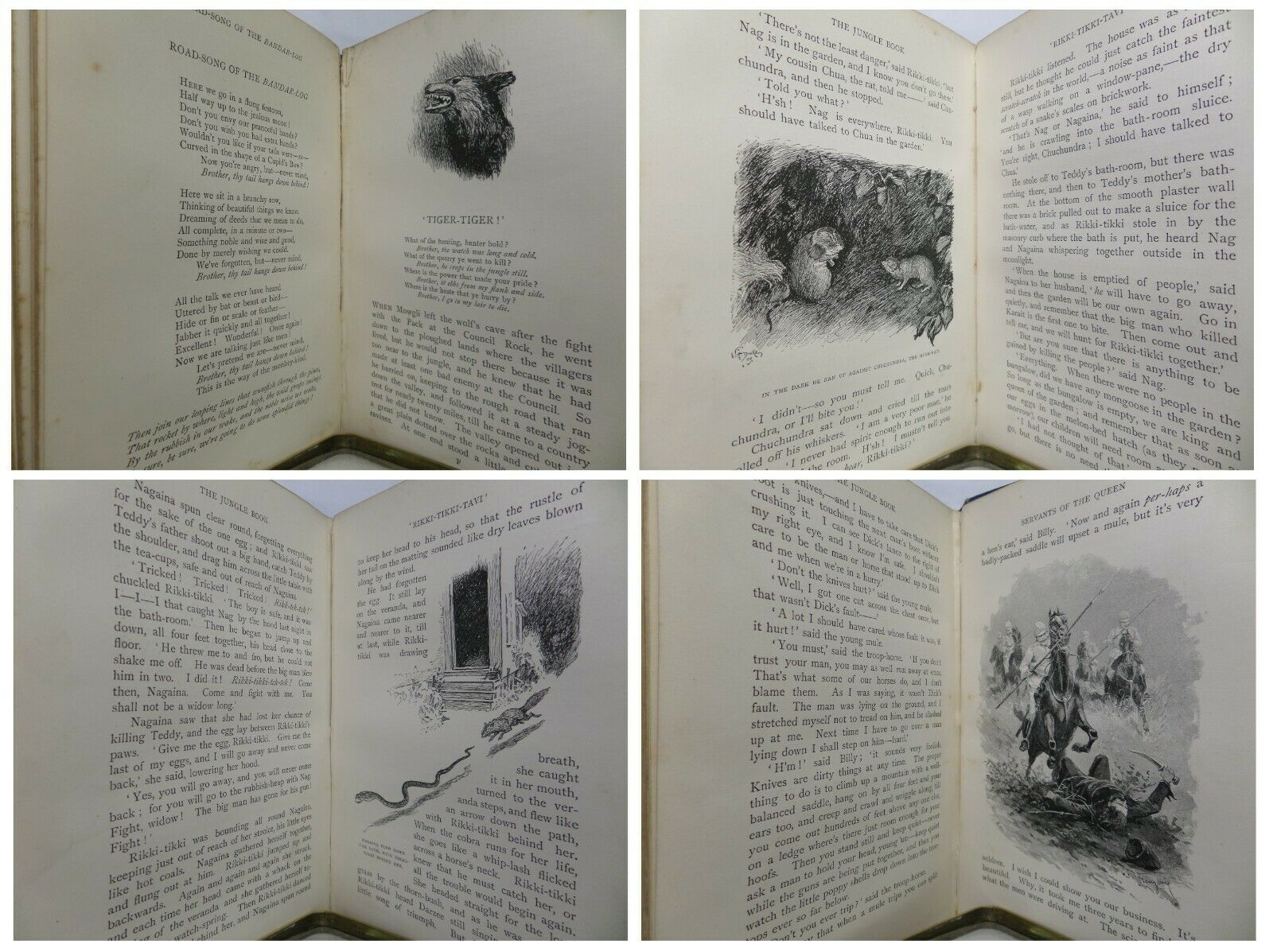 THE JUNGLE BOOK & SECOND JUNGLE BOOK BY RUDYARD KIPLING 1895 UNIFORM EDITIONS