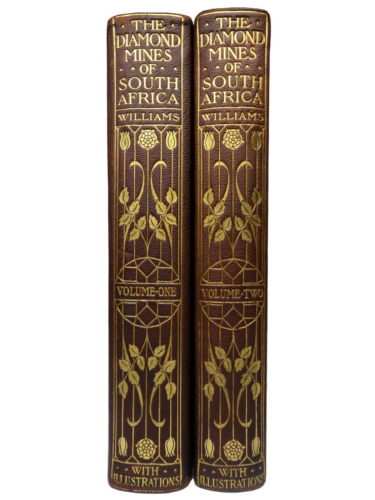 THE DIAMOND MINES OF SOUTH AFRICA BY GARDNER F. WILLIAMS 1905 IN TWO VOLUMES
