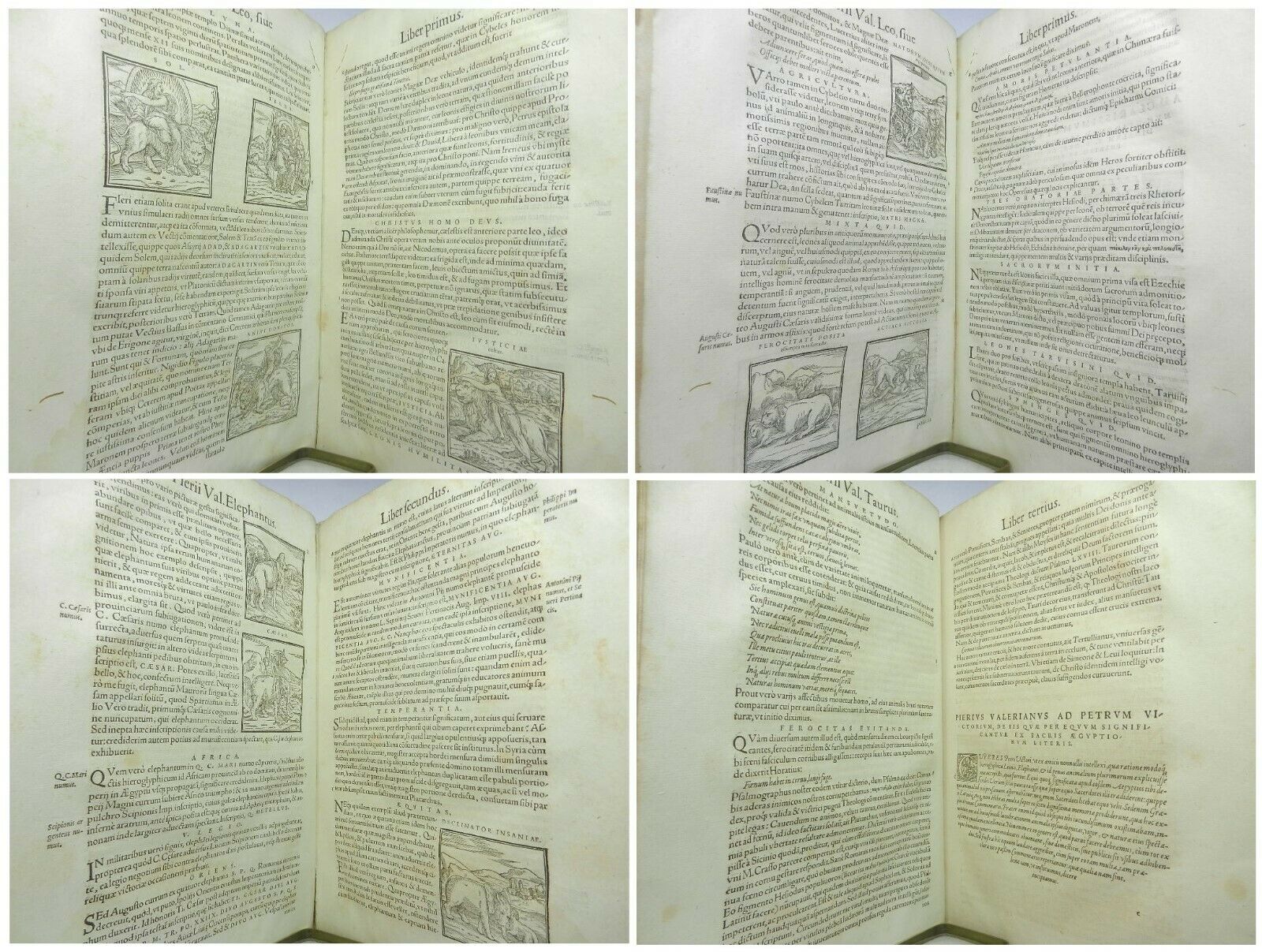 HIEROGLYPHICA SIVE DE SACRIS AEGYPTIORUM 1567 PIETRO VALERIANO, WOODCUT ILLUSTRATIONS