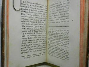 DESCRIZIONE STORICA DELLE PITTURE DEL REGIO-DUCALE PALAZZO... GIO. BOTTANI 1783