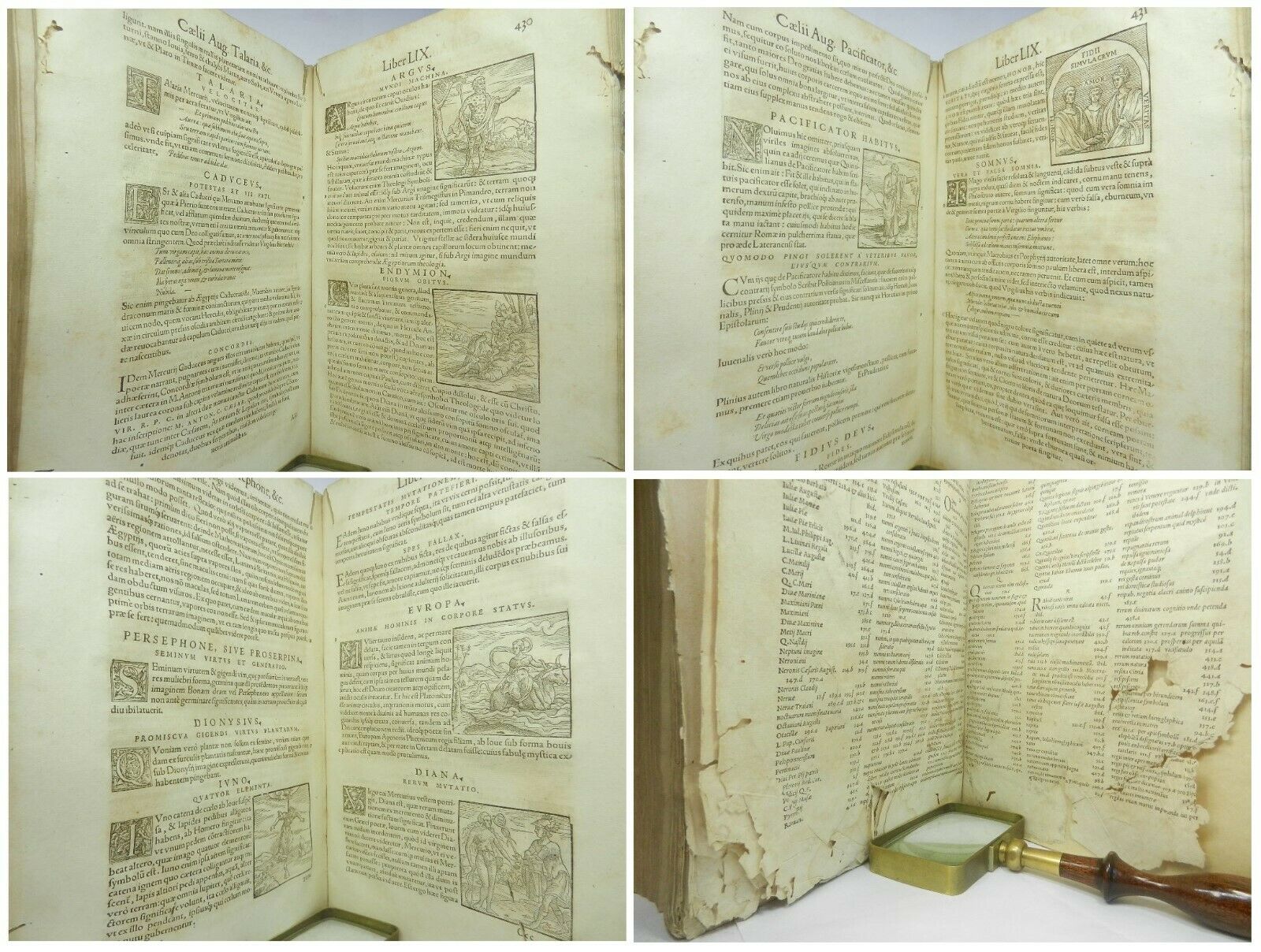 HIEROGLYPHICA SIVE DE SACRIS AEGYPTIORUM 1567 PIETRO VALERIANO, WOODCUT ILLUSTRATIONS